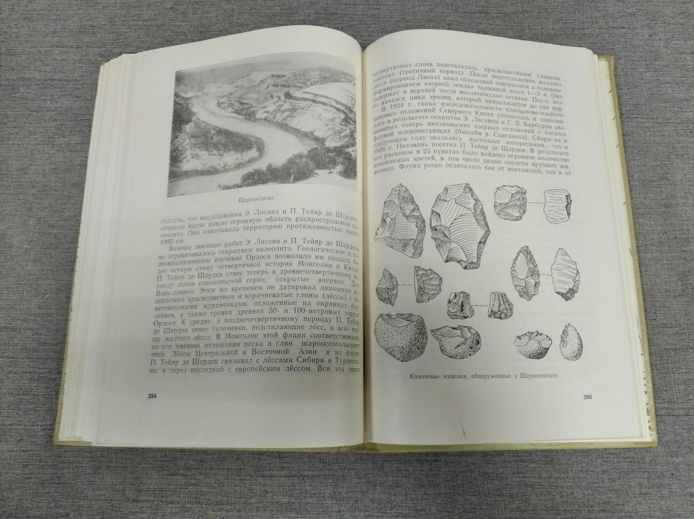 Ларичев В., Палеолит Северной, Центральной и Восточной Азии. Часть 1 - Азия  и проблема родины человека (История идей и исследования);. Отв. ред. акад.  А.Окладников.