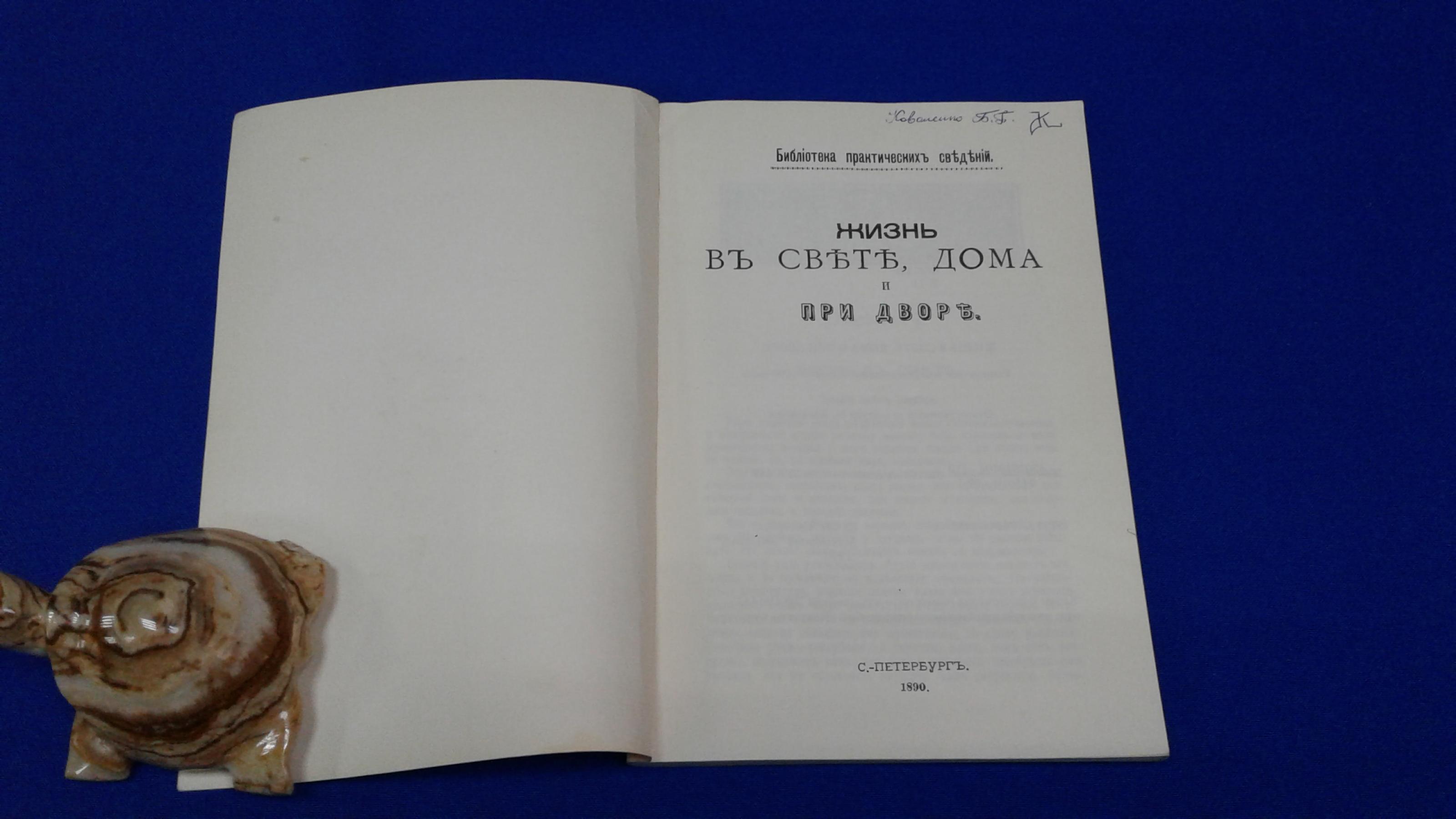 Жизнь в свете, дома и при дворе.. Серия Библиотека практических сведений.  Репринтное воспроизведение издания 1890 г.