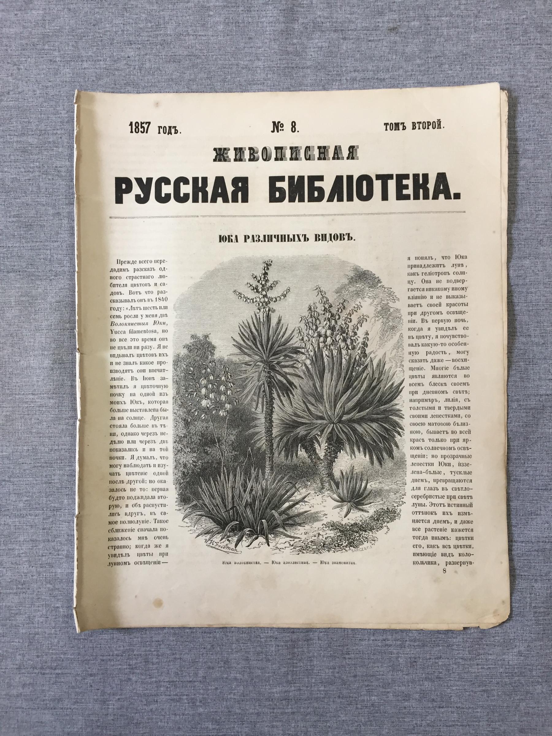 Живописная русская библиотека, издаваемая К. Полевым. Иллюстрированный  журнал.. № 8, 1857 год.