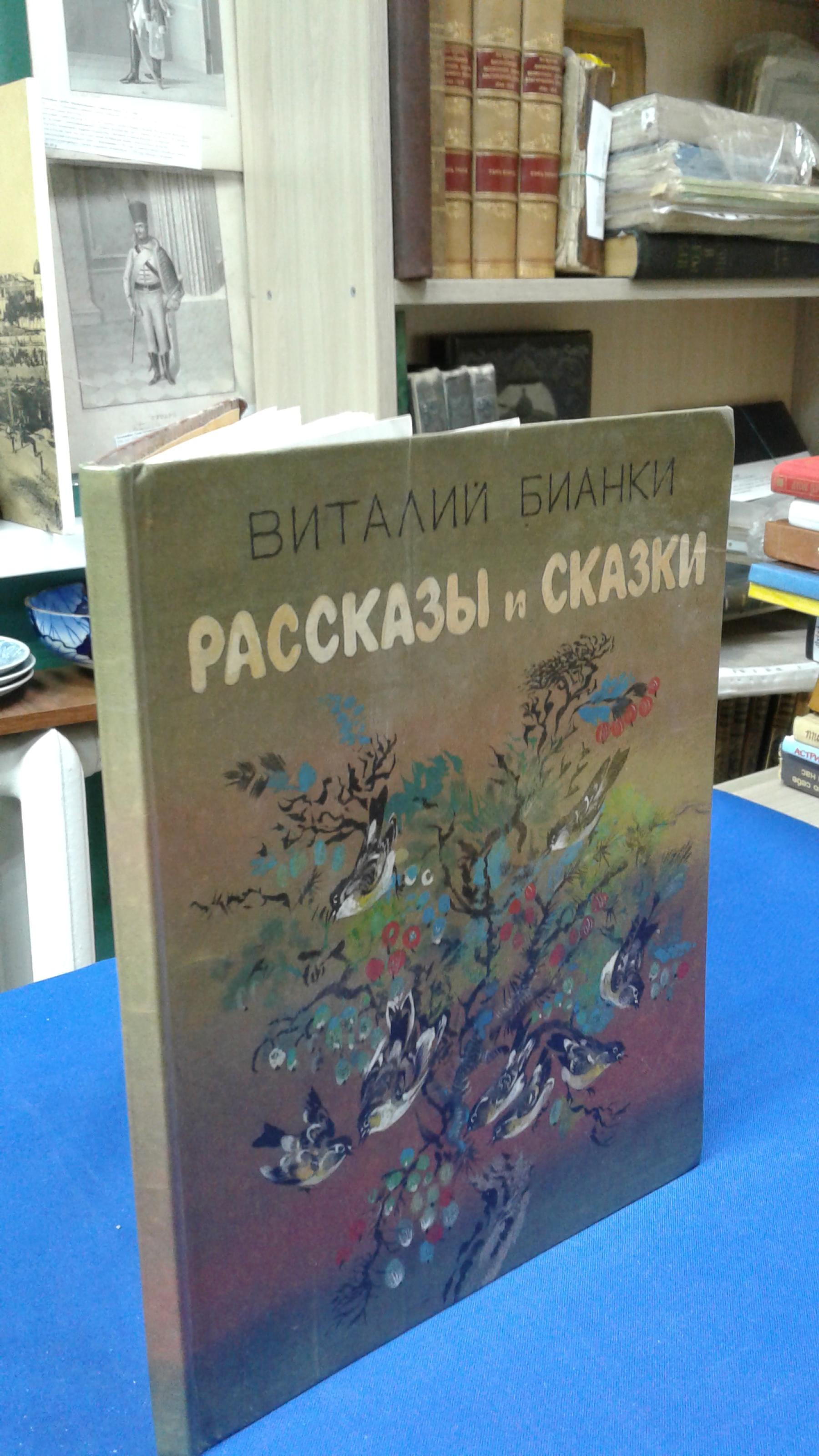 Идеи для срисовки бианки (90 фото)