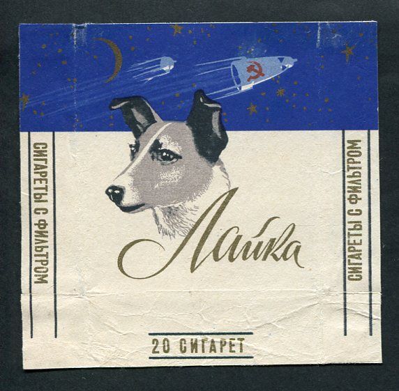 Ровно 55 лет назад собака Лайка совершила полет в космос